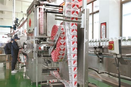 拉薩文明網技術咨詢服務指南 技術支持、常見問題與優化建議